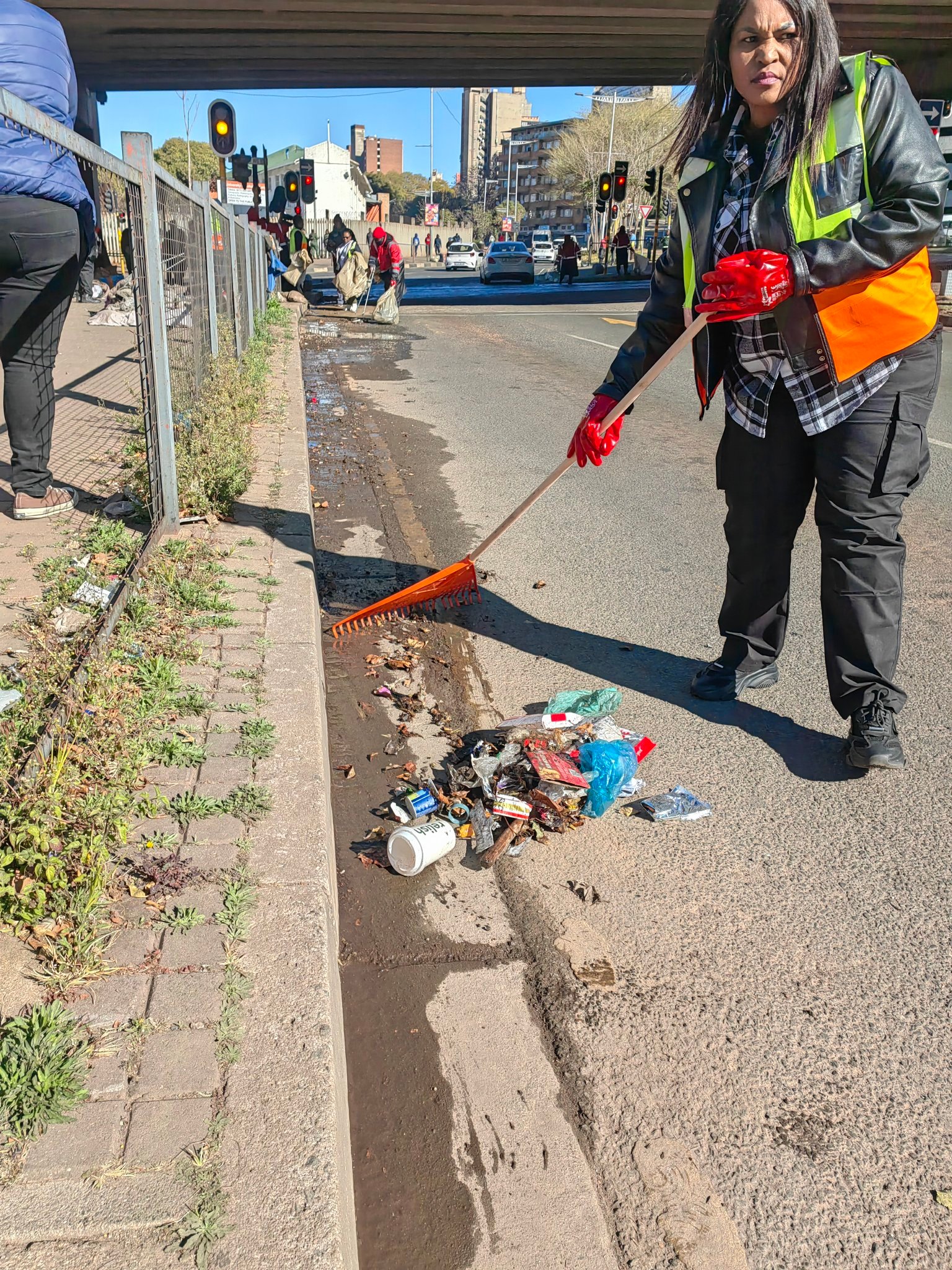 Ellis Park precinct revitalisation