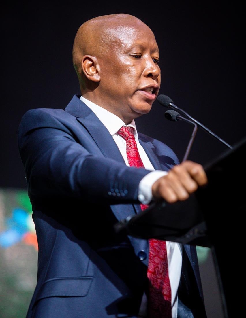 Julius Malema proposes solution