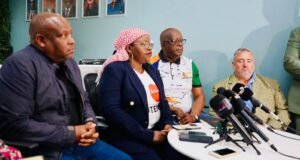 Kedibone Diale-Tlabela advises e-hailing operators to report issues to transport operating licensing laboratories