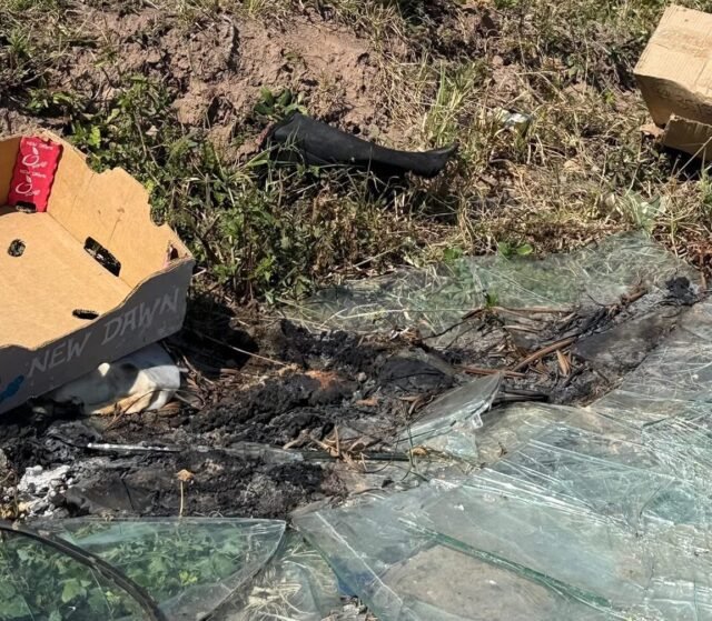 Pair of severed human hands discovered in KZN1 Pair of severed human hands discovered in KZN