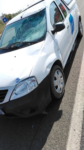 Pedestrian hit & killed