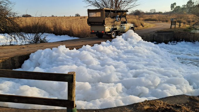Rietvlei Nature Reserve plagued by pollution and theft
