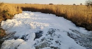 Rietvlei Nature Reserve plagued by pollution and theft