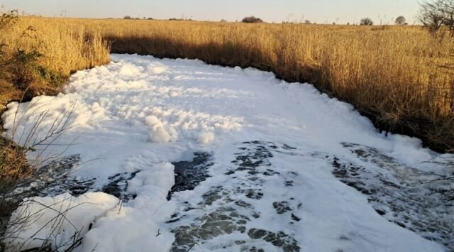 Rietvlei Nature Reserve plagued by pollution and theft1 Rietvlei Nature Reserve plagued by pollution and theft