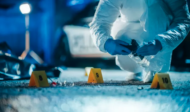forensic investigation