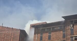 Alex hostel fire