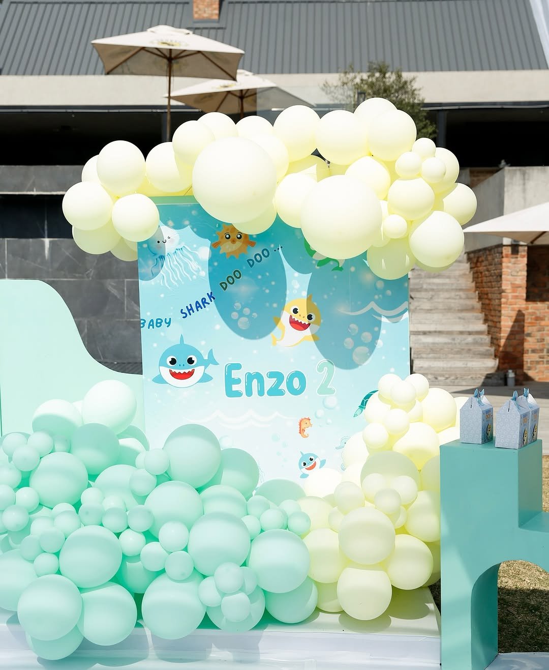 Ayanda Thabethe celebrates her son Enzo’s 2nd birthday in style