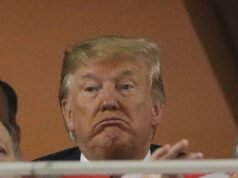 Donald Trump confirms he will skip G20 summit to be held in Johannesburg Donald Trump