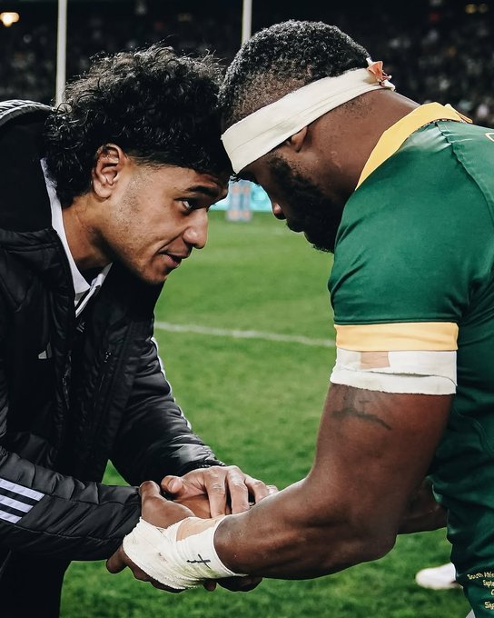 Springboks