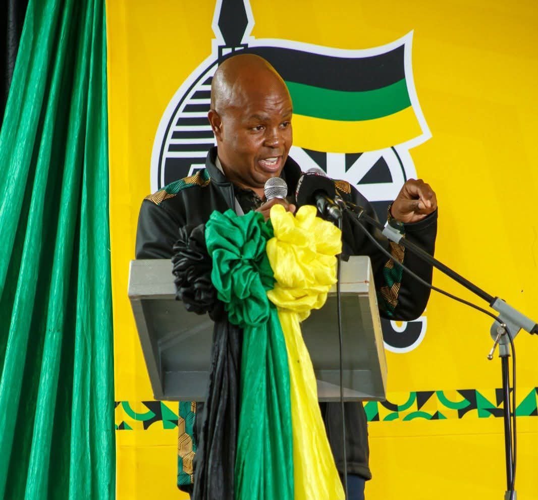 Mpumalanga chairperson