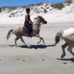 Rachel Kolisi3