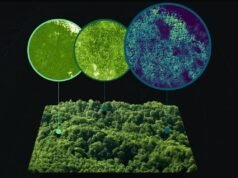 Carbon Market’s Technology