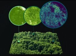 Carbon Market’s Technology