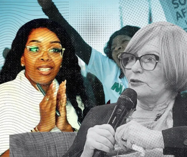 zille2 zille